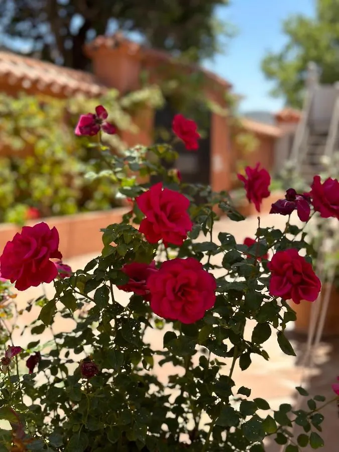 Holiday home Villa El Rosal Marbella