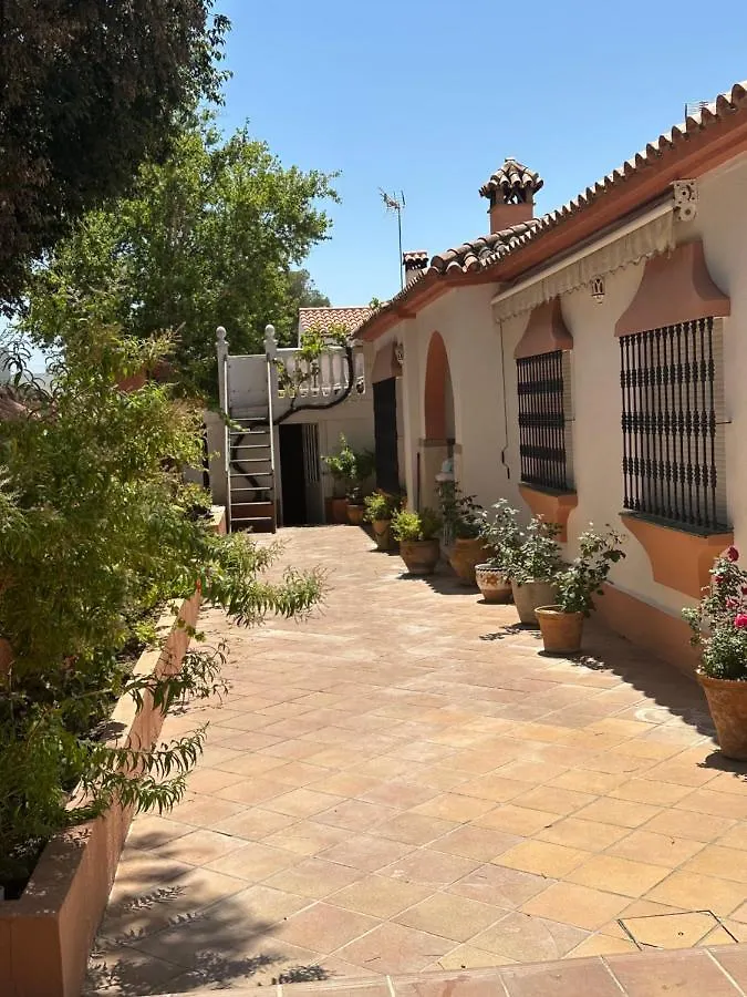 Villa El Rosal Marbella Holiday home